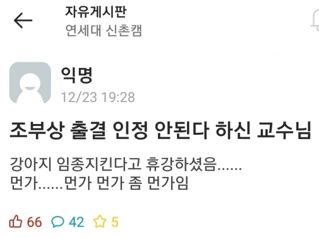 ‘조부상 결석’ 불허한 연세대 교수 “반려견 임종 지키려 휴강” 논란