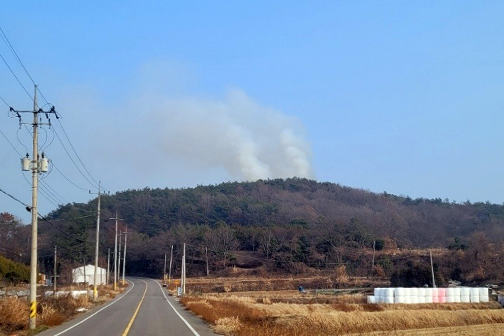 고흥 야산서 불 [산림청 제공]