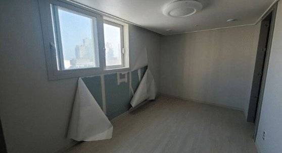 [온라인 커뮤니티]