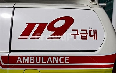 보행자 숨져