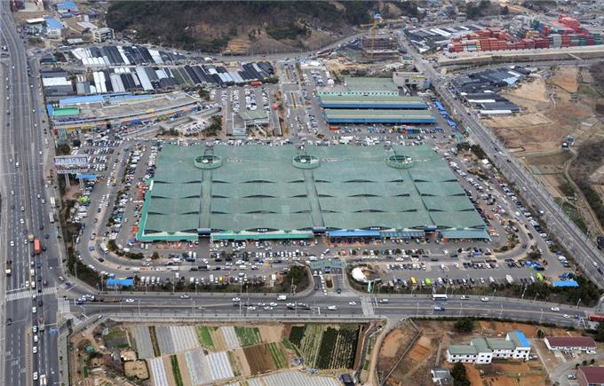 반여 공영농산물도매시장 전경. [부산시 제공]