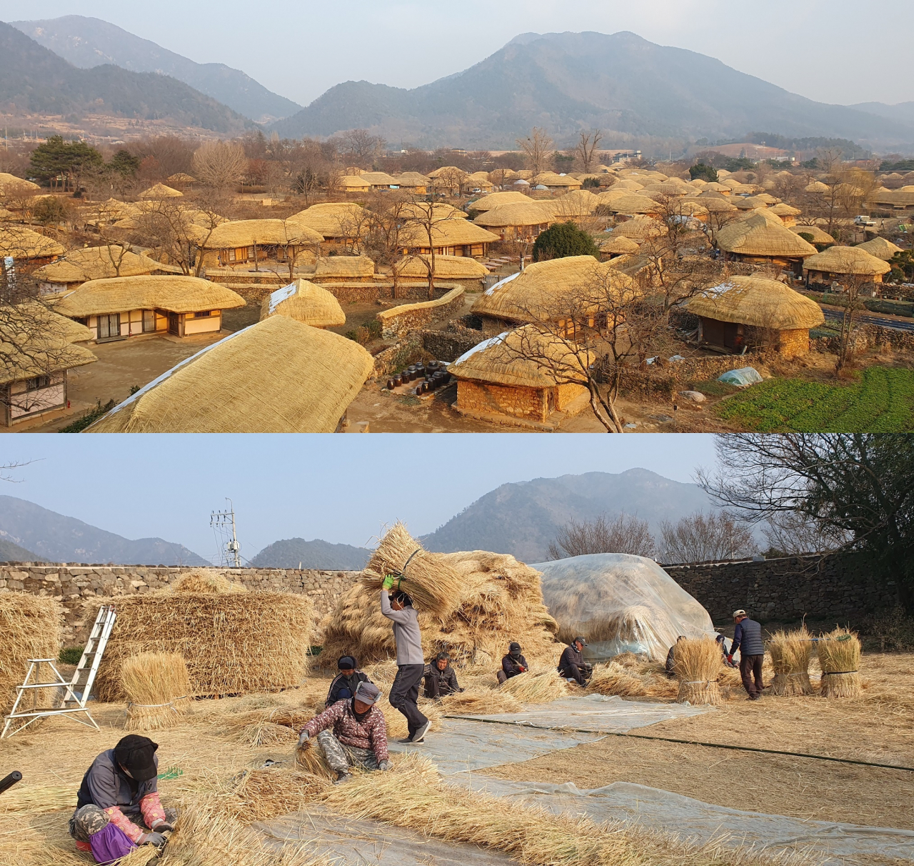 순천 낙안읍성(사진 위) 지붕에 쓰일 이엉 엮기 작업 중인 마을 사람들.