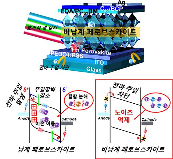 주석 기반 비납계 페로브스카이트 포토디텍터 구조 모식도 및 주석 성분에 의한 노이즈 억제 효과.[중앙대학교 제공]