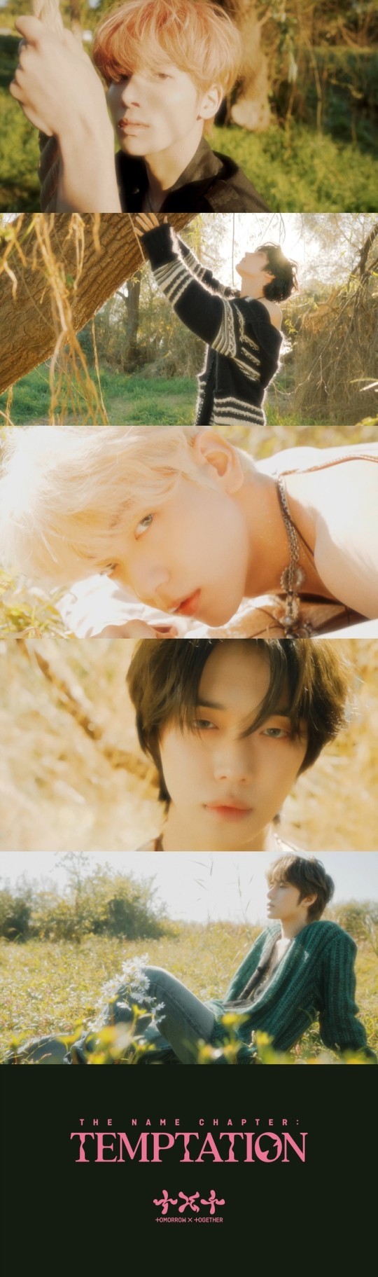 (Credit: Big Hit Music)