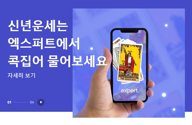 네이버 엑스퍼트 운세 서비스 화면. [네이버 캡처]