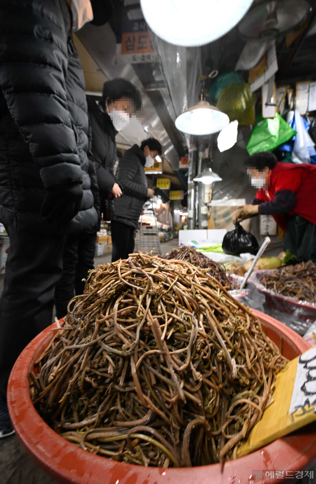 통통한 제사용 고사리.