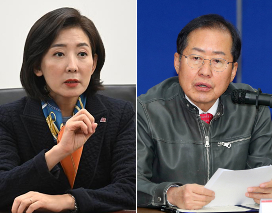 나경원 전 의원(왼쪽), 홍준표 대구시장. [헤럴드DB·연합]