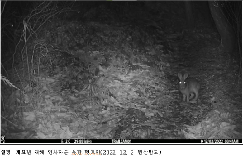 [국립공원공단 제공]