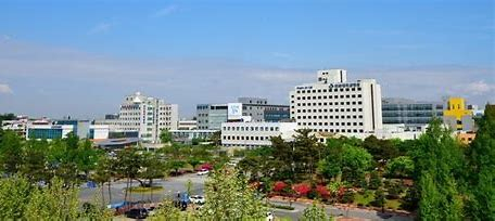 전북대 병원