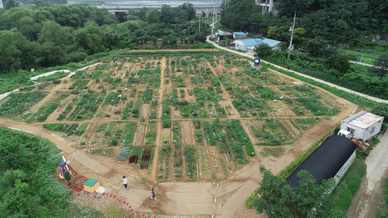 용인 공세동 시민농장[용인시 제공]