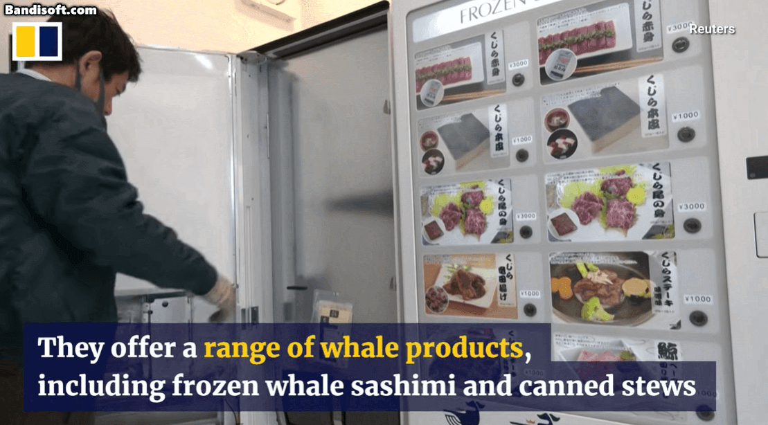 [SCMP 유튜브 캡쳐]