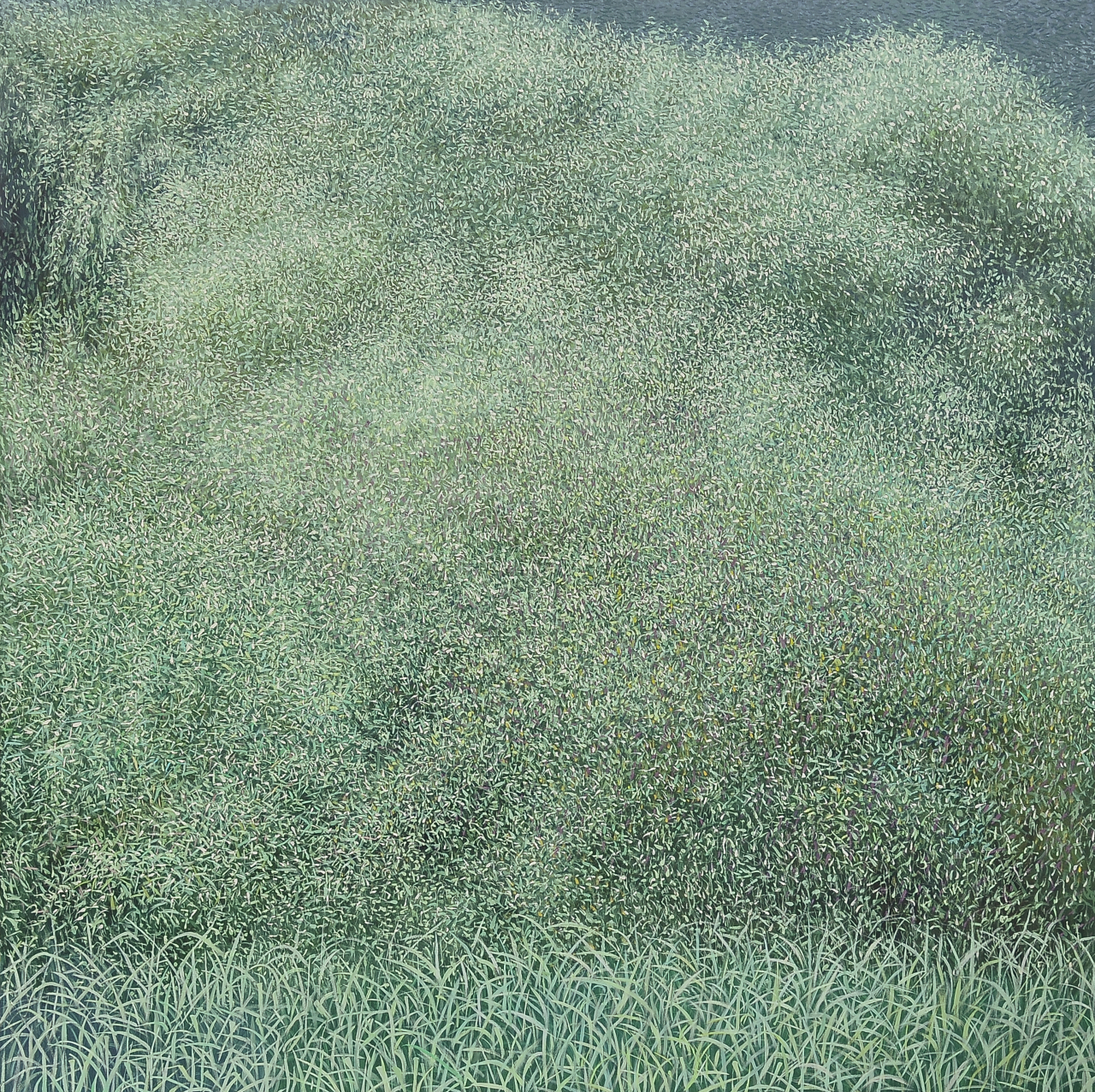 김재현, 숲인상, 2019, oil on canvas, 130.3&times;130.3cm