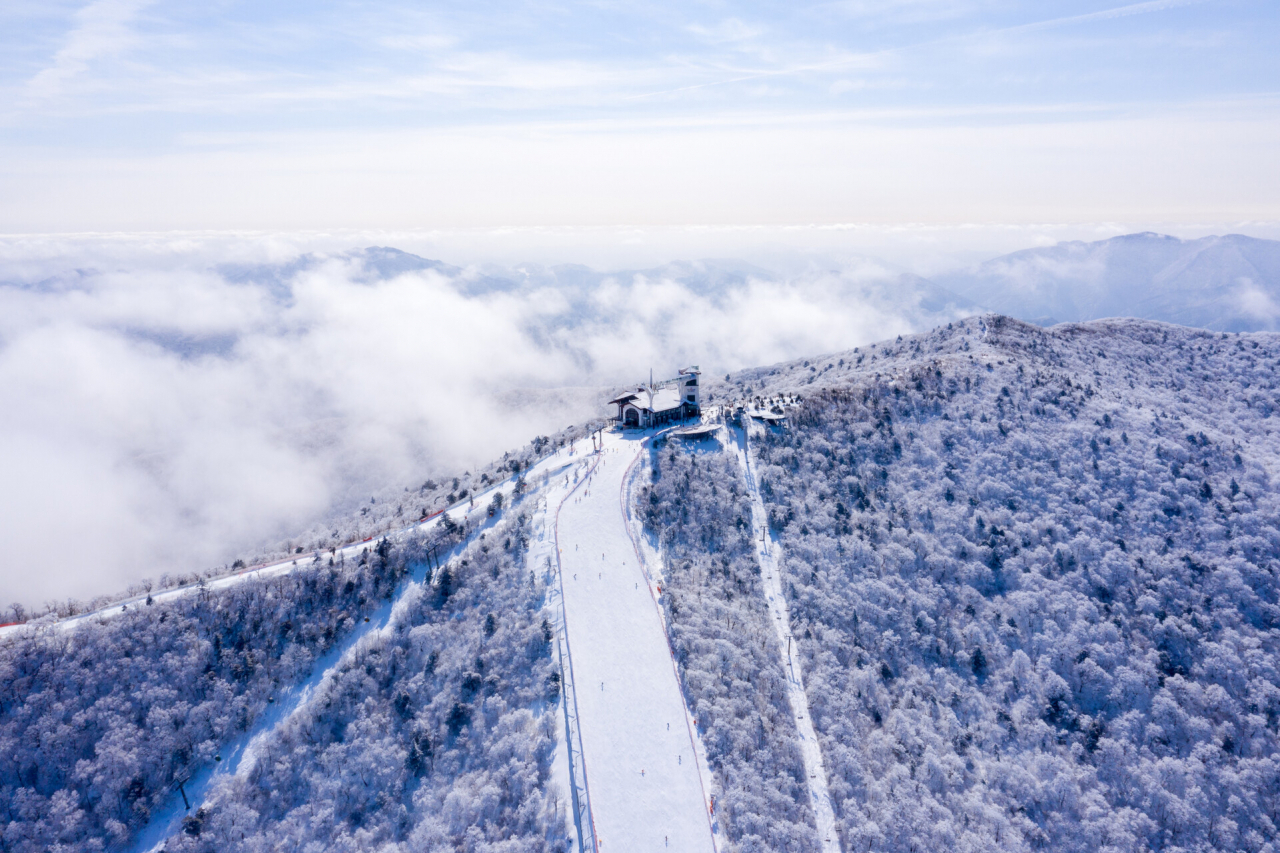 Monapark Yongpyong Resort (Monapark Yongpyong Resort)