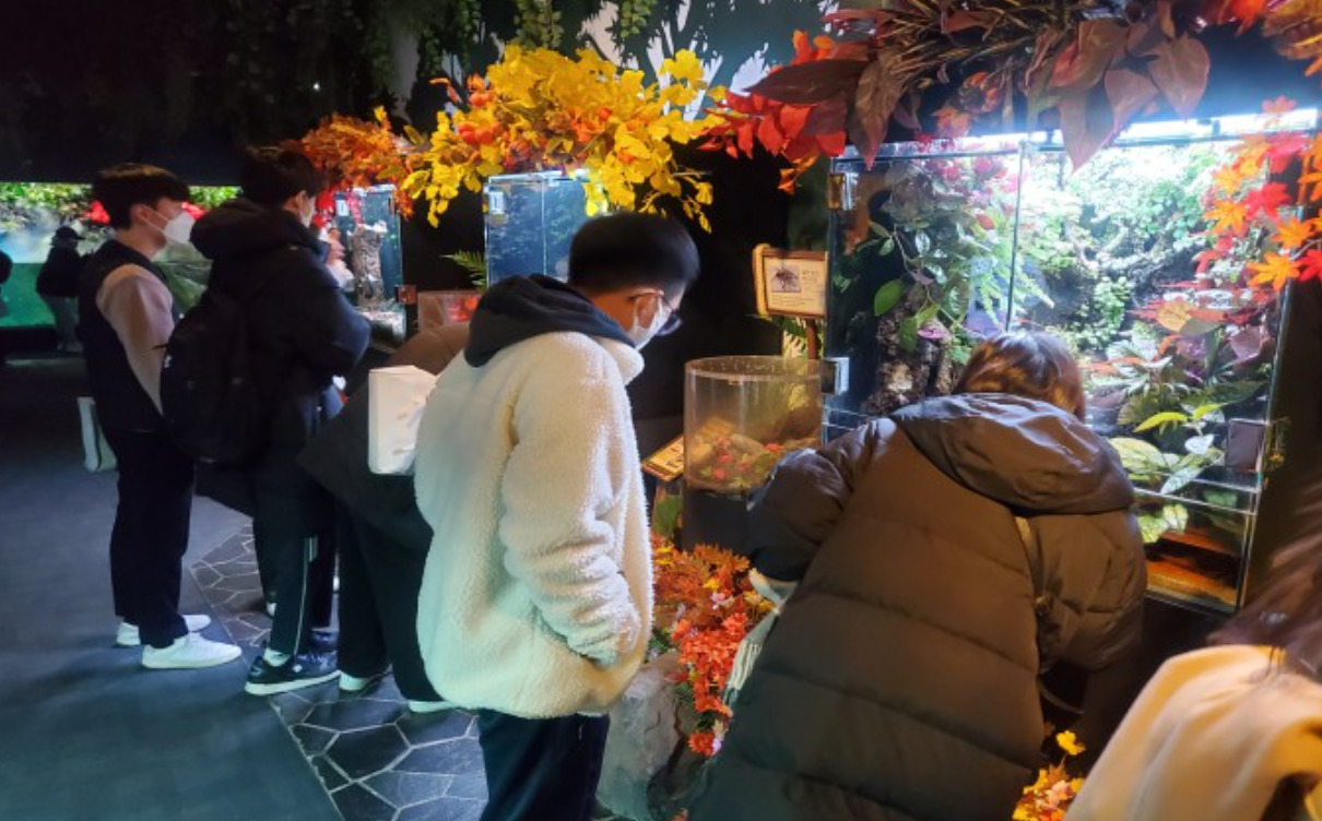 서울시에서 27일 전문기관과 연계해 경계선지능인을 위한 정서 멘토링을 진행하고 있다. [서울시 제공]