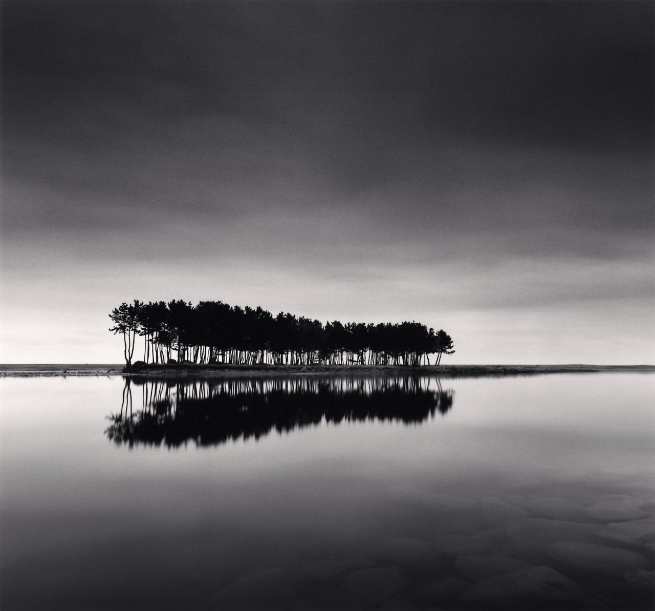 Pine Trees, Study 1, Wolcheon, Gangwondo, South Korea. 2007 ⓒ Michael Kenna [공근혜갤러리 제공]