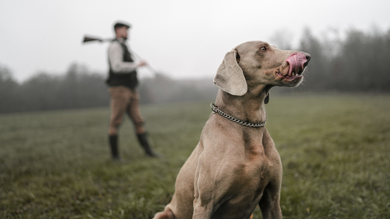 [123RF]