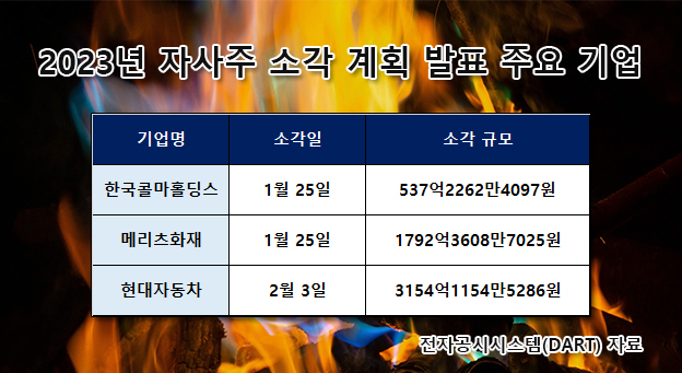 현대차가 쏘아 올린 ‘주주환원의 꽃’ 자사주 소각…K-기업도 ‘애플의 길’ 걸을까? [투자360]