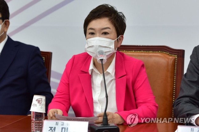 정미경 전 최고위원 [연합]