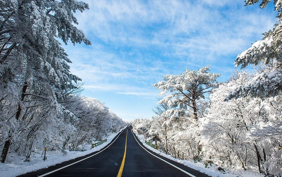 Jeju's Highland Road 1100, which offers a panoramic view of Hallasan Mountain. (Jeju Tourism Organizatoon)