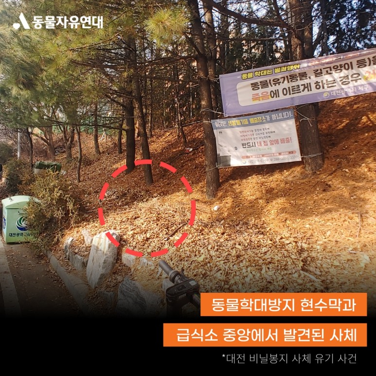 대전시 서구의 한 고양이 급식소 인근에서 길고양이 사체가 비닐봉투에 담긴 채 잇따라 발견됐다. [동물자유연대 제공]