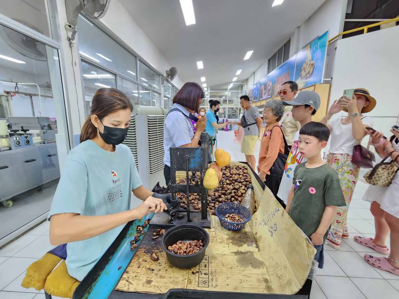 기항지 관광, 푸켓 건강견과 캐시넛 체험