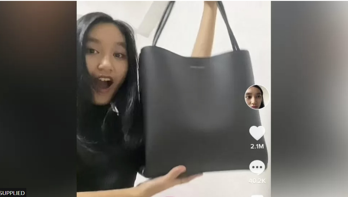 [조 가브리엘 틱톡 계정 캡쳐]