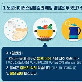 노로바이러스 급증