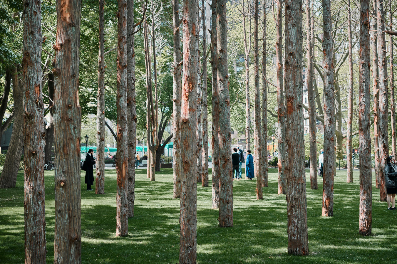 마야 린 : 유령 숲(Ghost Forest), 2021년 5월 10일 - 11월 4일, 뉴욕 메디슨 스퀘어 공원 설치전경 &copy; Maya Lin Studio. 사진 촬영 Andy Romer