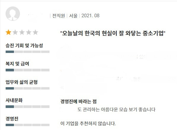 한 구직 사이트에 올라온 모 기업에 대한 리뷰. [기업 정보 플랫폼 화면 갈무리]
