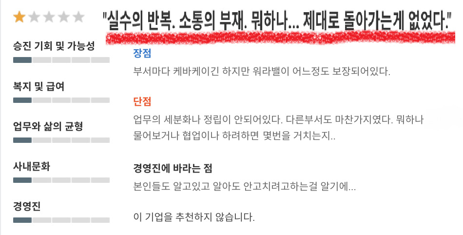 한 구직 사이트에 올라온 모 기업에 대한 리뷰. [기업 정보 플랫폼 화면 갈무리]