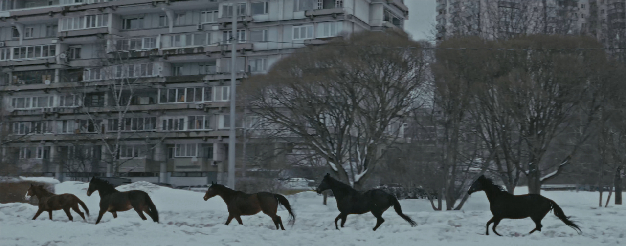 A still image from "Youth" by Anne Imhof (Circa)