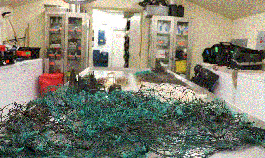 고래 사체 속에서 발견된 쓰레기 [AP]