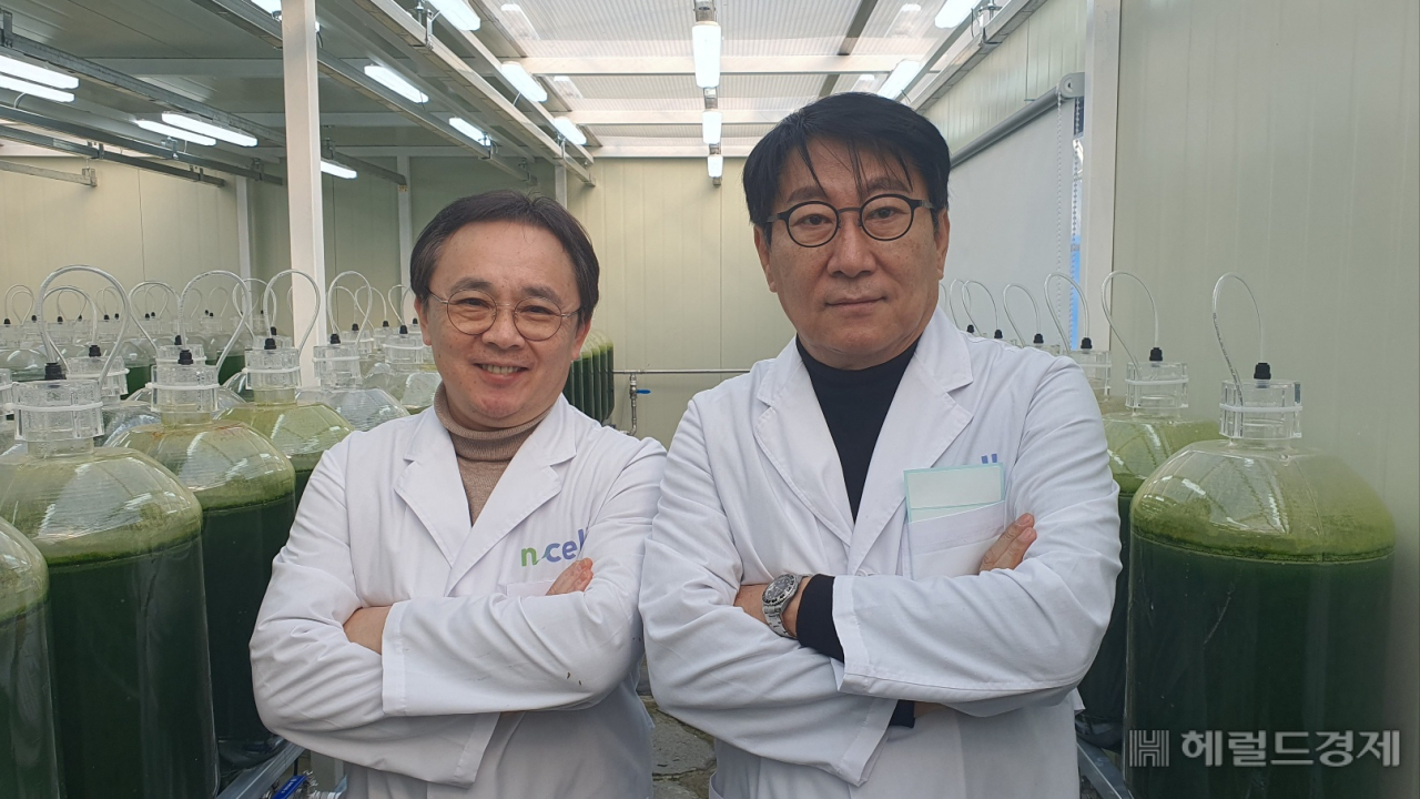 꼬마신랑의 주인공 배우 김정훈씨는 엔셀과 '김정훈 스피루리나' 상표권을 공동 출시했다. 서인주 기자