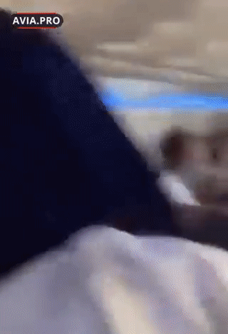브라질 골 항공 여객기에서 벌어진 볼썽 사나운 난투극이 다른 승객의 휴대폰에 찍혀 소셜미디어에서 확산했다. [Avia.pro 트위터 캡처]