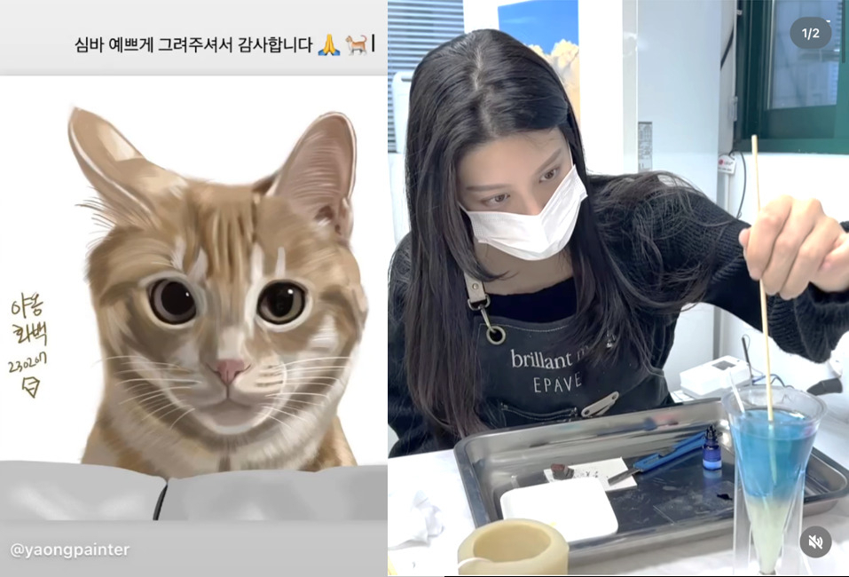 7일 조민이 인스타그램에 올린 본인 사진(왼쪽), 조국 전 장관 지지자가 그린 조민 반려묘 팬아트(오른쪽). [조민 인스타그램]