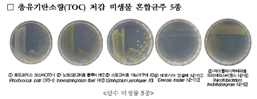 [국립낙동강생물자원관 제공]