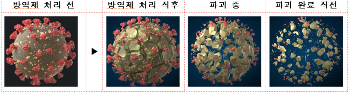한국화학연구원 박종목 박사 연구팀이 개발한 ‘천연 비이온계 중성 계면활성제 성분 물질’을 활용해 바이러스막 파괴를 유도, 고병원성 조류독감(AI) 바이러스는 0.05% 이하의 낮은 농도에서 1분 이내에 99.99%, 코로나19 바이러스는 30초 이내에 99.99% 사멸시켰다. [한국화학연구원 제공]