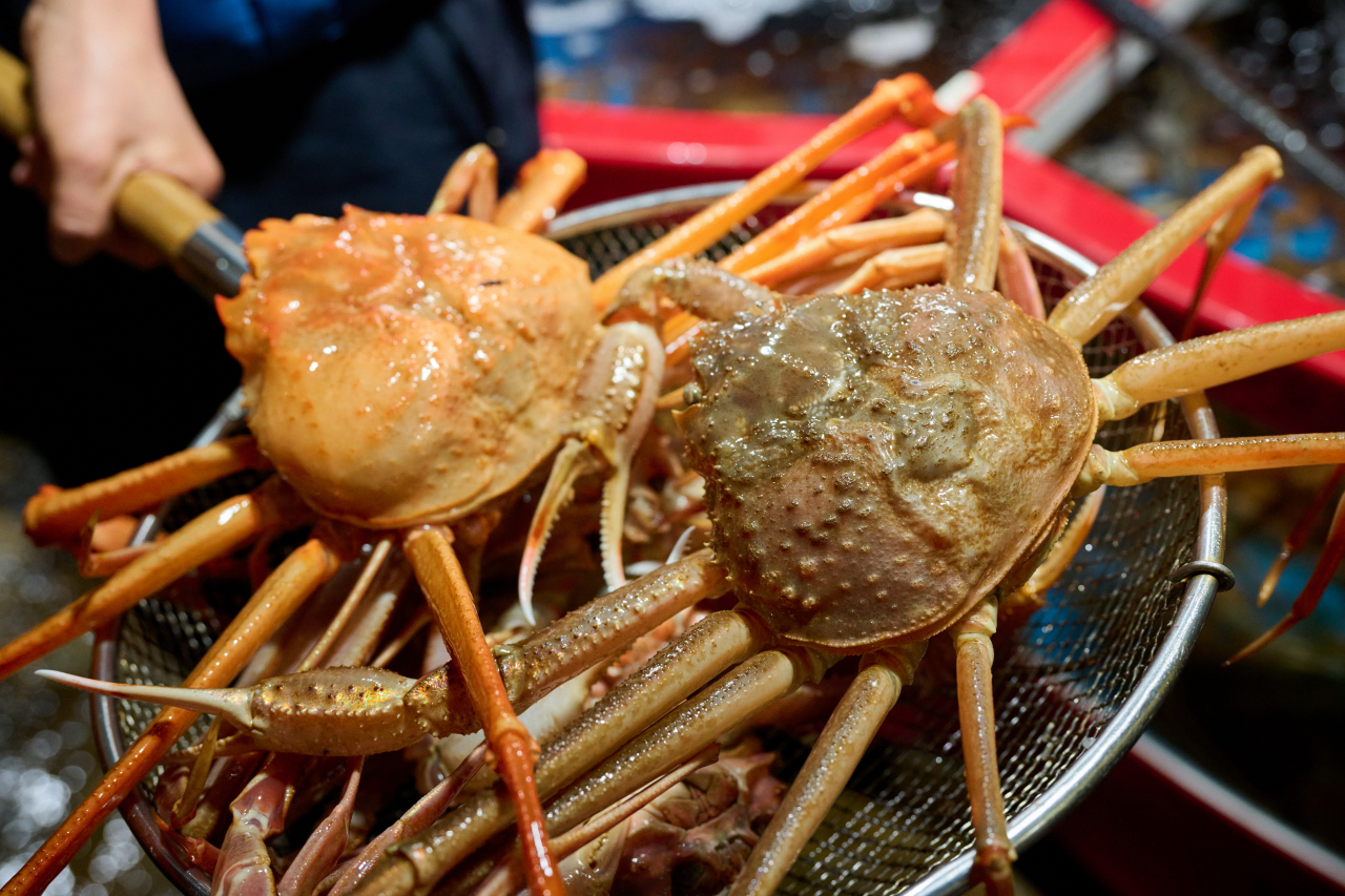 방어·대게·문어·곰치…울진 봄맞이 보양식 ‘풍성’[함영훈의 멋·맛·쉼]