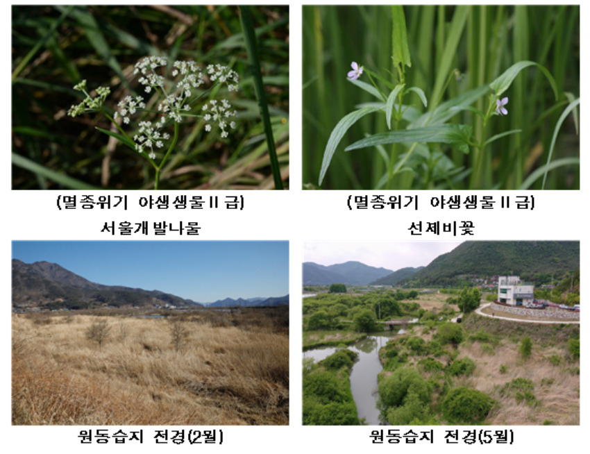 [환경부 제공]