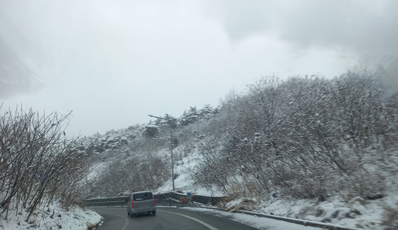 경북 동해안에 내린 폭설로 포항지역 차량들이 도로를 엉금 엉금 기어가고 있다.[사진=김병진 기자]