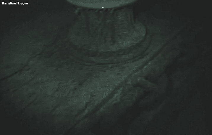 [WHOI]