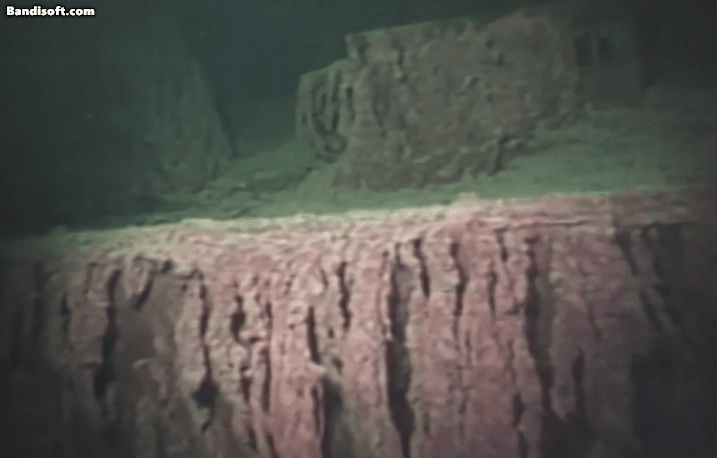 [WHOI]