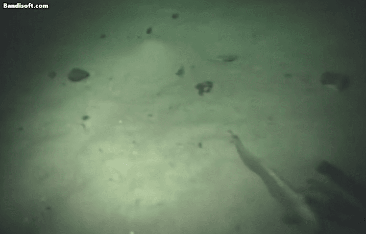 [WHOI]