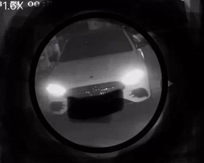 [보배드림]
