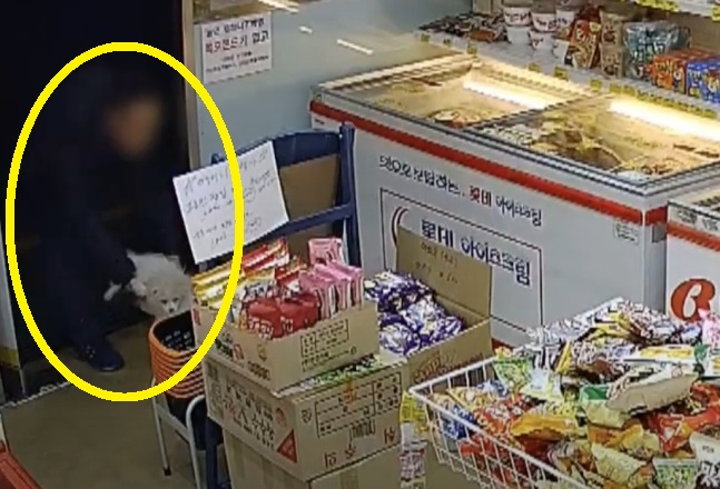 [동물보호단체 라이프 유튜브 캡처]