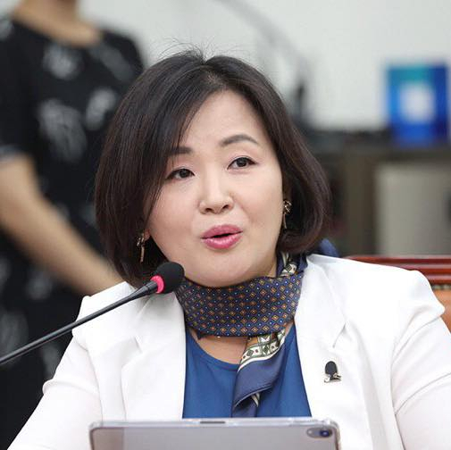 이수진 더불어민주당 의원