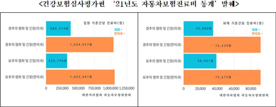[대한의사협회 제공]