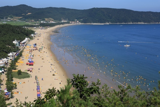 완도 명사십리 해수욕장.