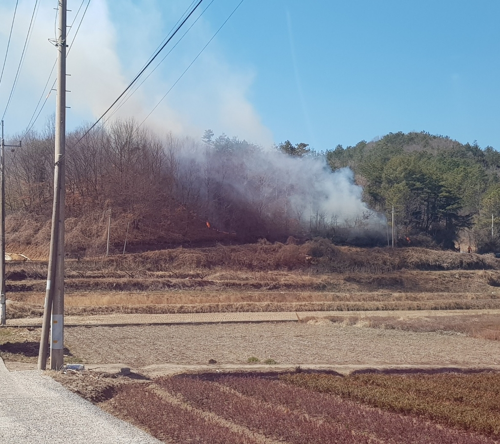 순천서 산불 발생[산림청 중앙산불방지대책본부 제공]
