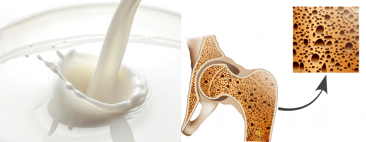 우유, 뼈건강에 정말 도움?…“많이 마시면 골절 위험↑” [식탐]